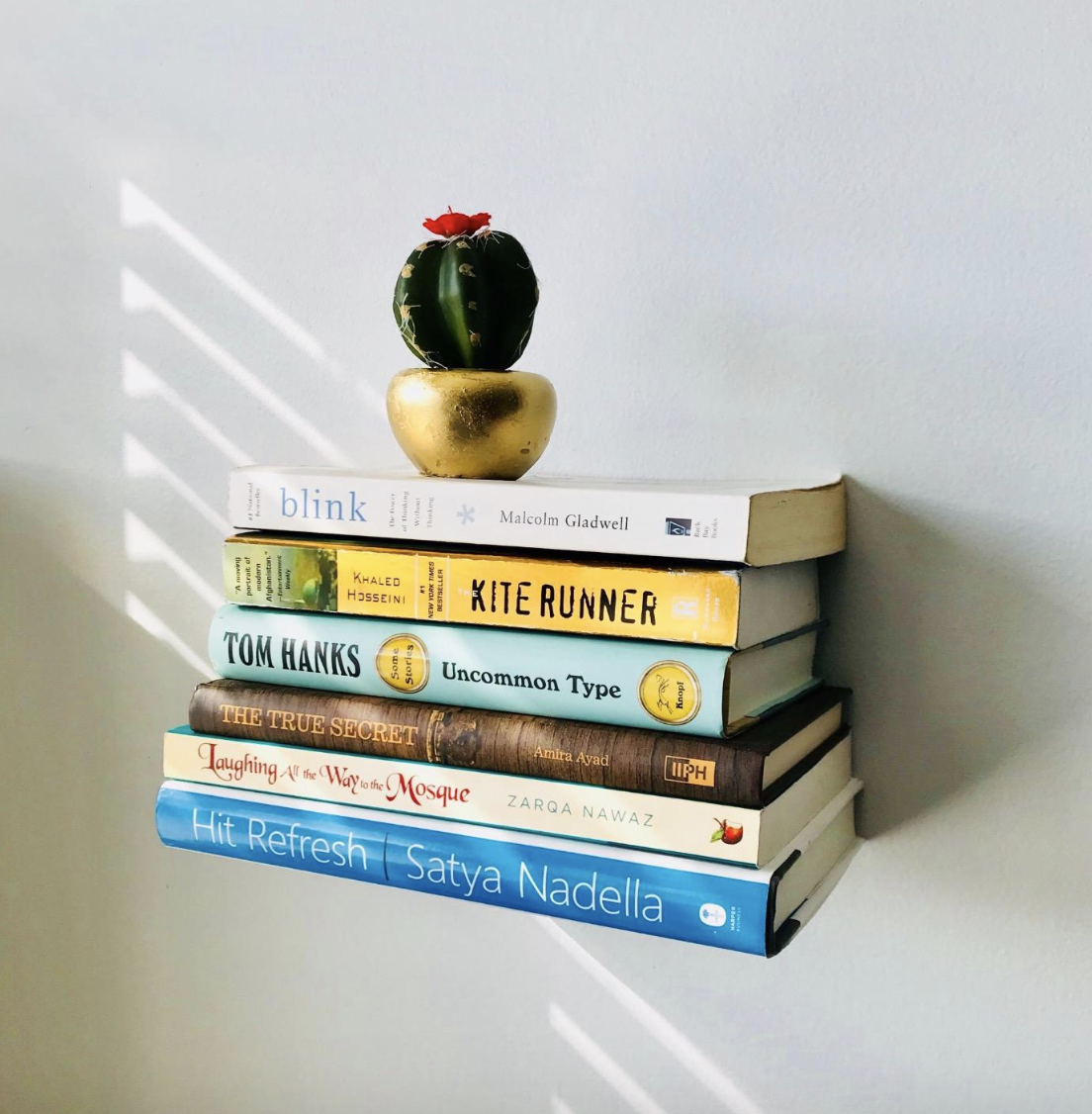 Reviewer&#x27;s six books seemingly floating from the wall with a small cactus on top