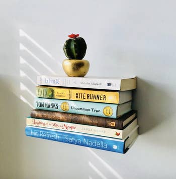 Six books seemingly floating from the wall with a small cactus on top
