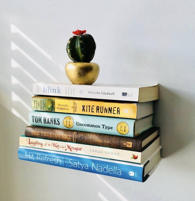 Reviewer photo of six books seemingly floating from the wall with a small cactus on top