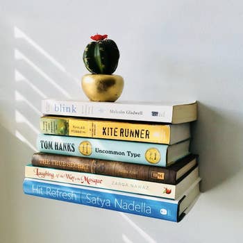 Reviewer photo of six books seemingly floating from the wall with a small cactus on top