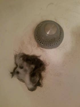 mess of hair caught in drain