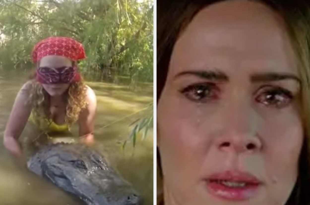 bird box challenge bird box challenge