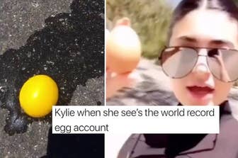 Are You Kylie Jenner Or The Egg