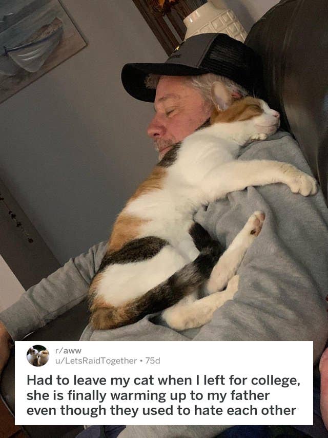 18 Reluctant Pet Parents Who Eventually Came Around