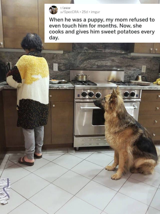 18 Reluctant Pet Parents Who Eventually Came Around