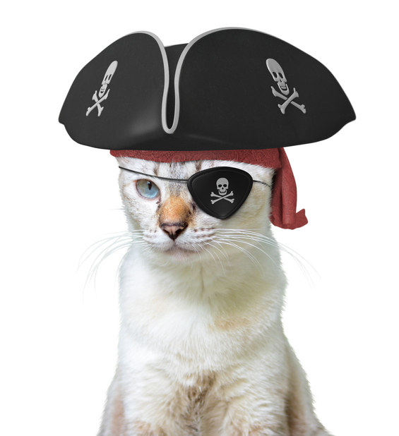 Batten Down The Hatches: Pirate Fashion Is About To Be A Thing