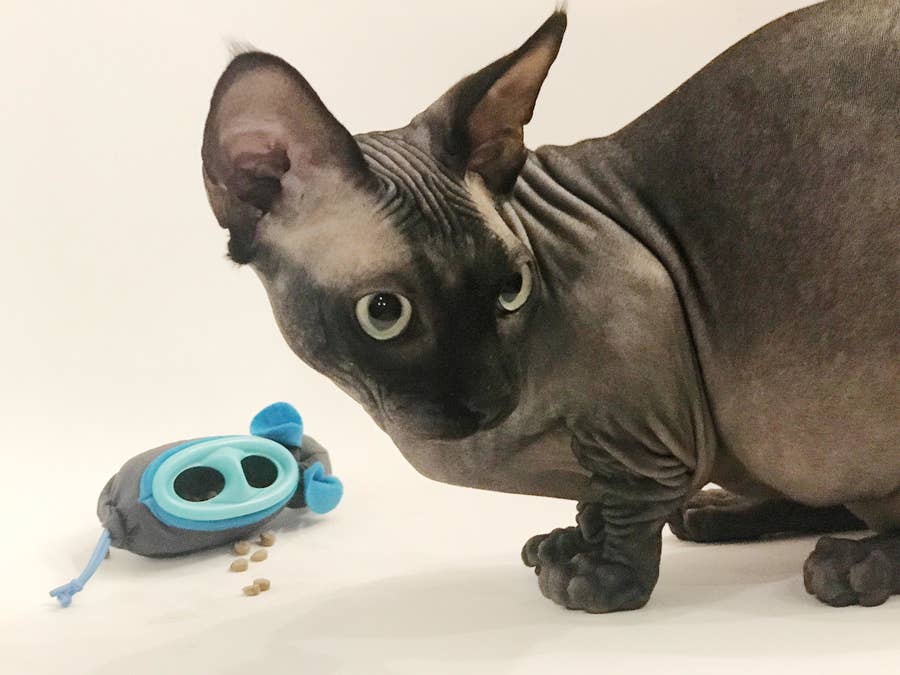 32 Things Even The Biggest Cat Lover Probably Doesn T Own Yet