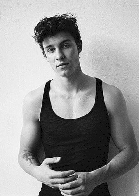 I Tried Shawn Mendes Workout And My Body Will Never Be The Same