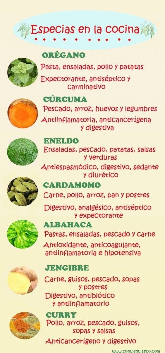 27 Infografias Que Te Serviran Si Siempre Has Querido Aprender A Cocinar