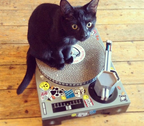 24 Pet Products That Must Have Been Designed By Geniuses