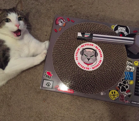 24 Pet Products That Must Have Been Designed By Geniuses