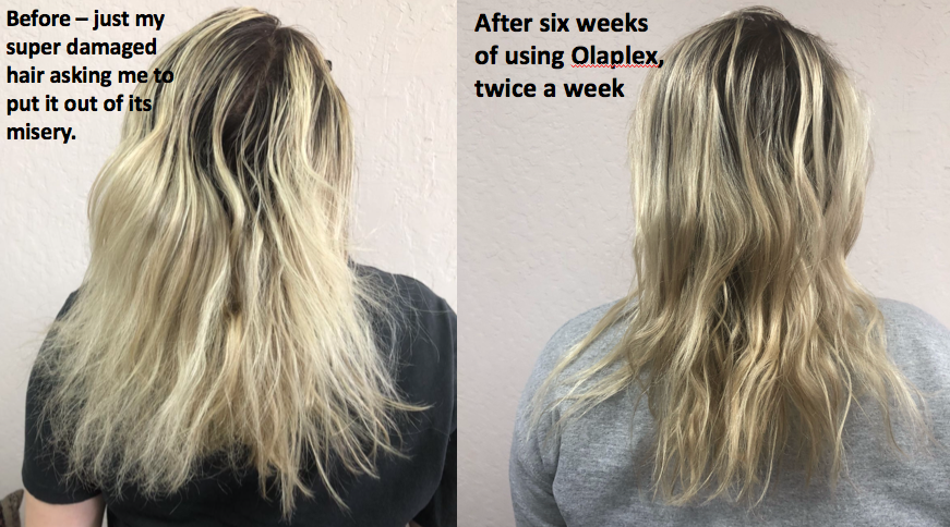 How to Repair Bleach Damaged Hair 14 Steps with Pictures