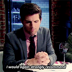 A gif of Ben Wyatt from Parks and Rec saying, &quot;I would again strongly recommend&quot;