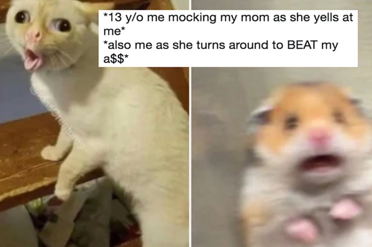 23 Me Also Me Memes That We Re All Guilty Of Doing