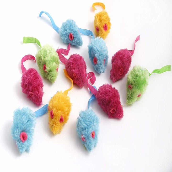 29 Pet Toys You Can Get On Amazon That People Actually Swear By