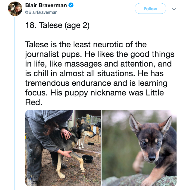 These Bios For A Team Of Sled Dogs Is The Purest Thing You'll See Today