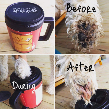 A reviewer&#x27;s before and after photo of their poodle&#x27;s very dirty paw with the fur completely clean after using the brush mug. There is still some minimal residue in the footpads. 