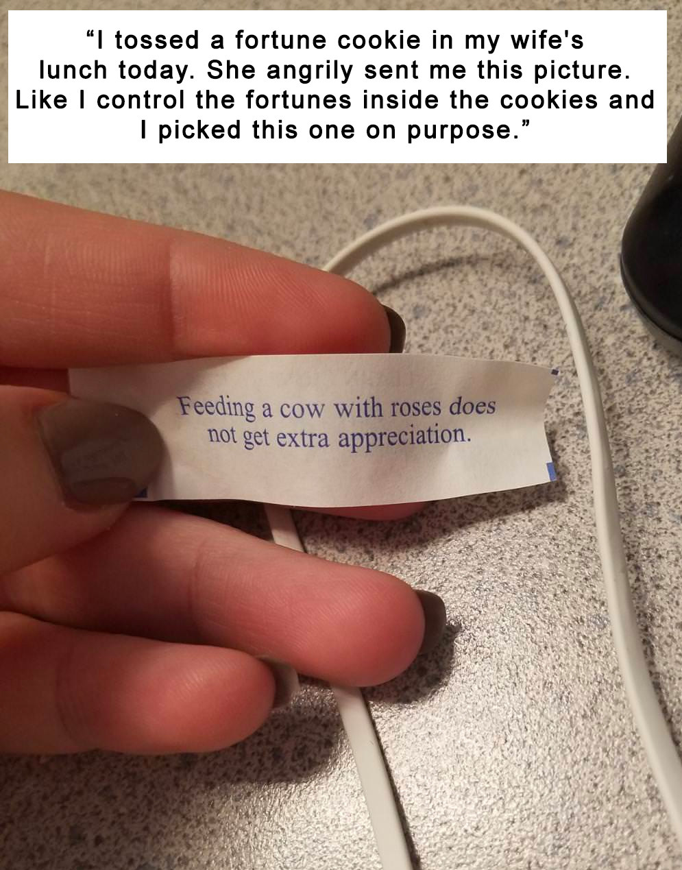 17 Times Fortune Cookies Proved That They Had A Mind Of Their Own