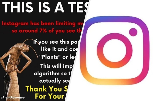  - instagram follow request accept limit