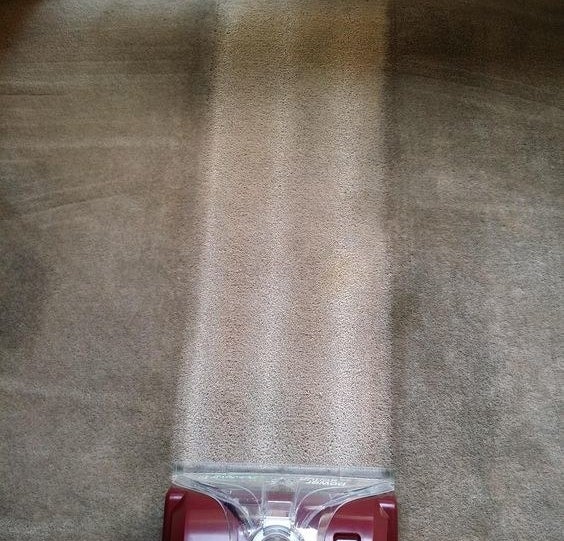 Reviewer image revealing a clean carpet after using the solution
