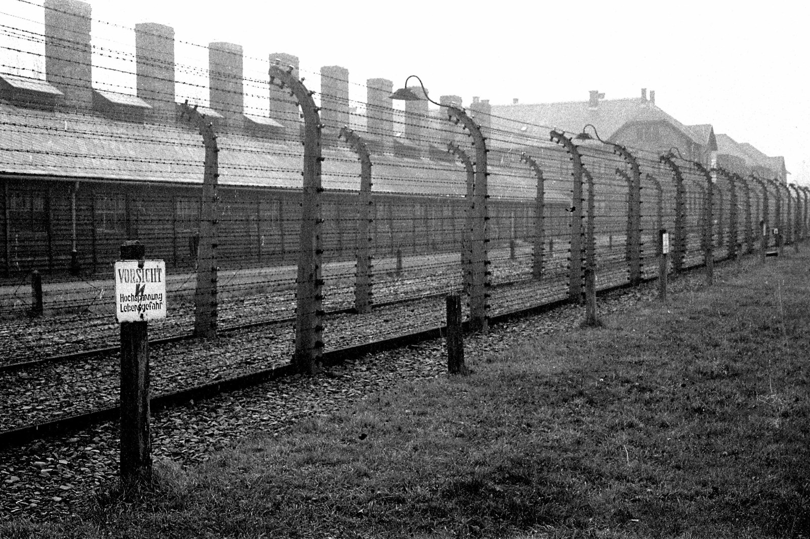 auschwitz tourist pictures