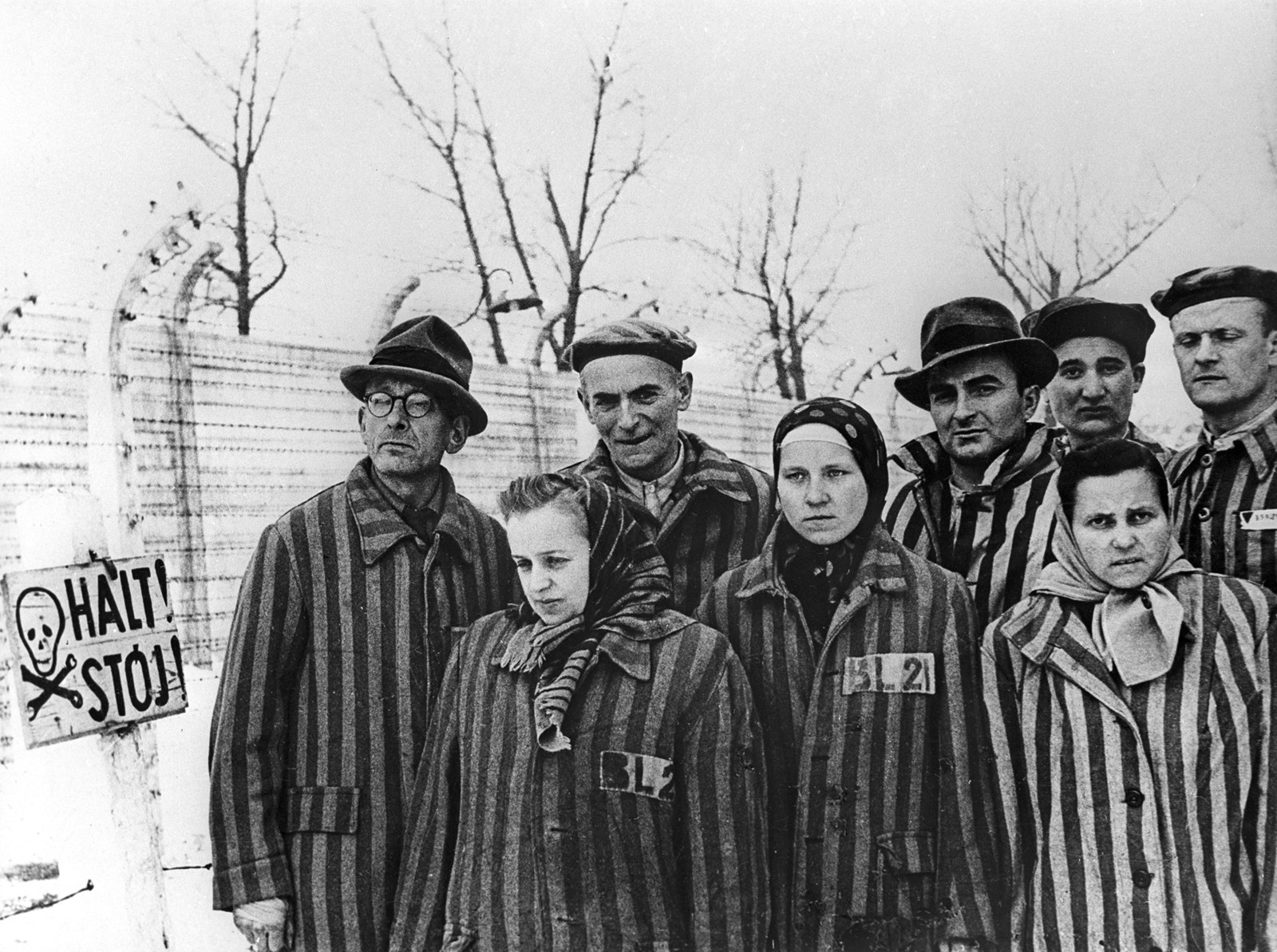 auschwitz tourist pictures