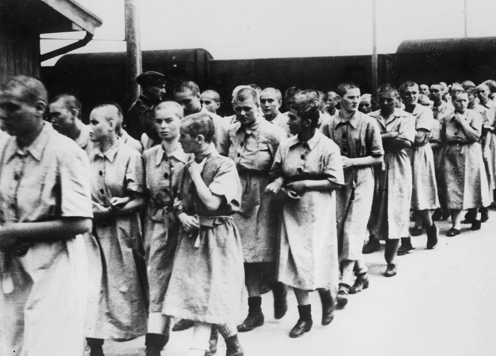 auschwitz tourist pictures