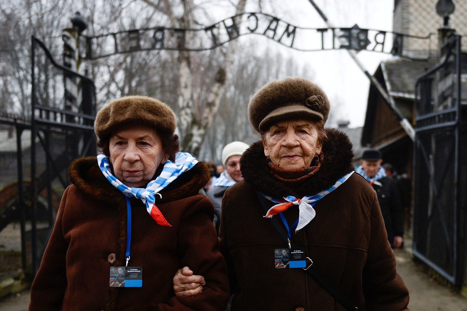 auschwitz tourist pictures