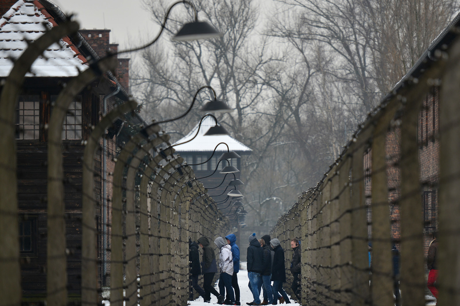 auschwitz tourist pictures