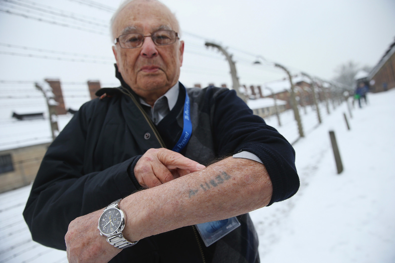 auschwitz tourist pictures