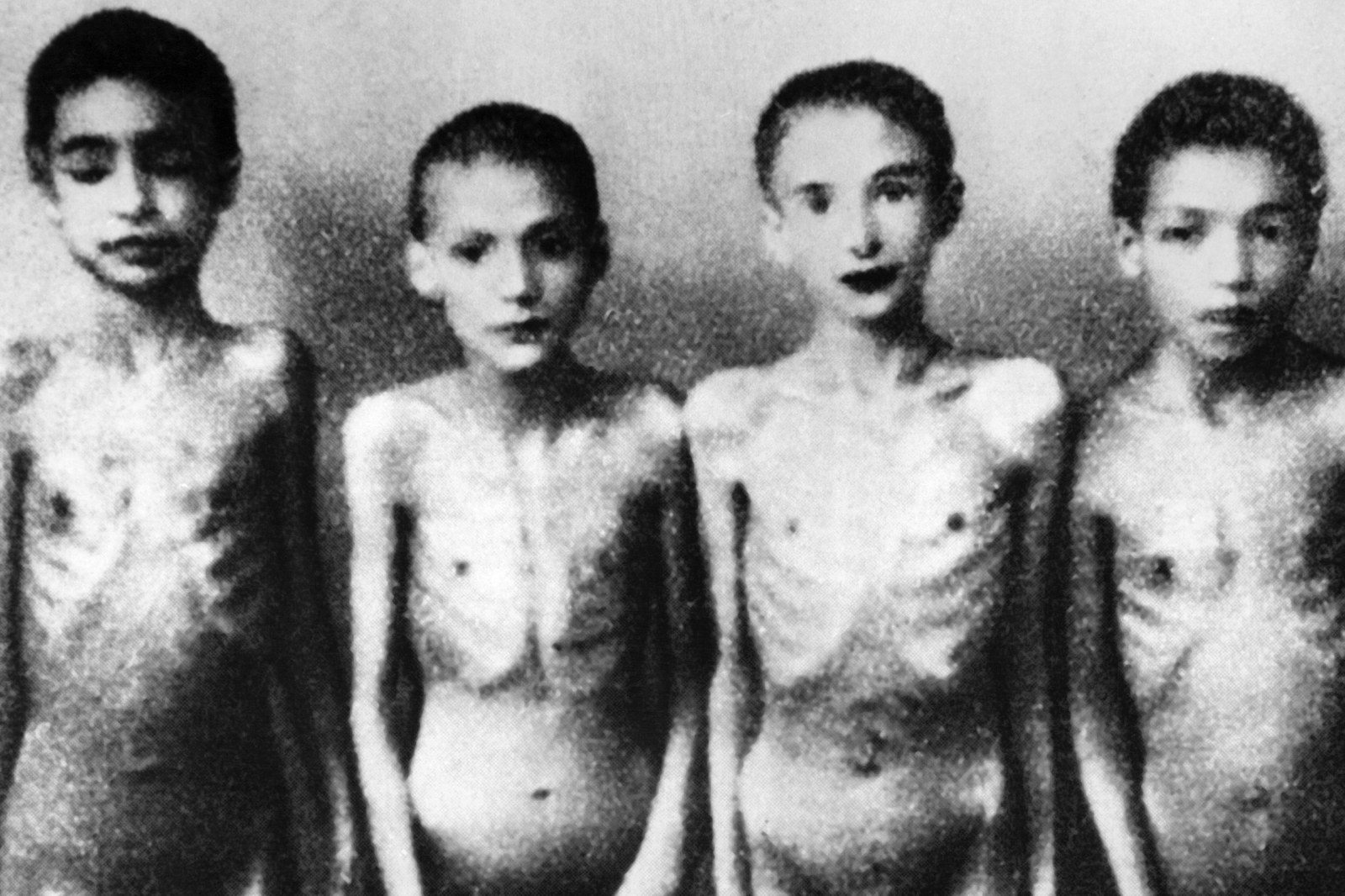 auschwitz tourist pictures