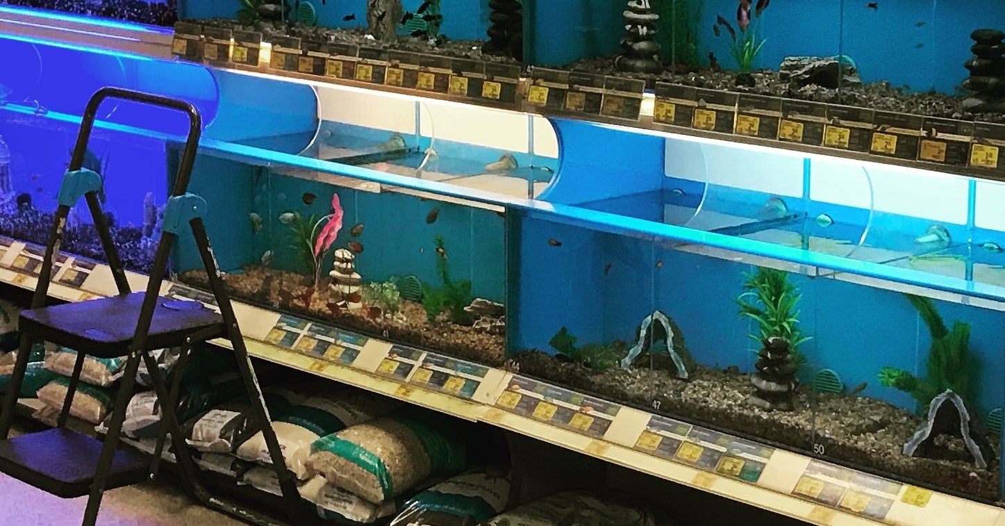 These Pictures Capture The Crushing Weight Of Anxiety And Depression