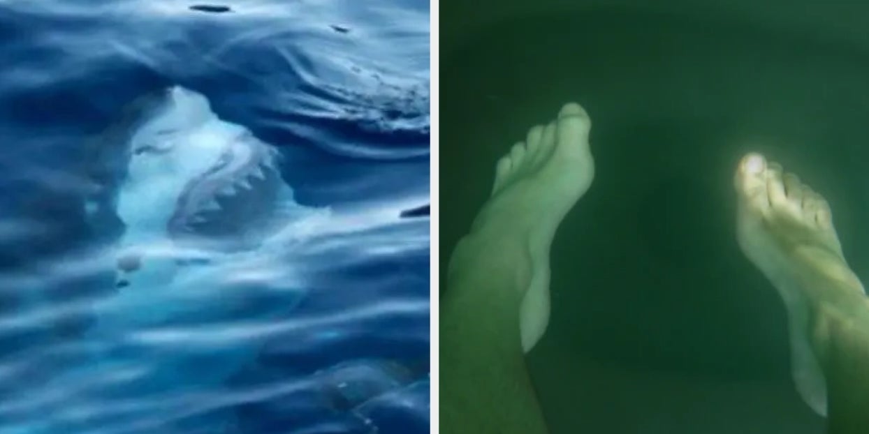 Thalassophobia Is A Real Absolutely Terrifying Thing And You Definitely Have It