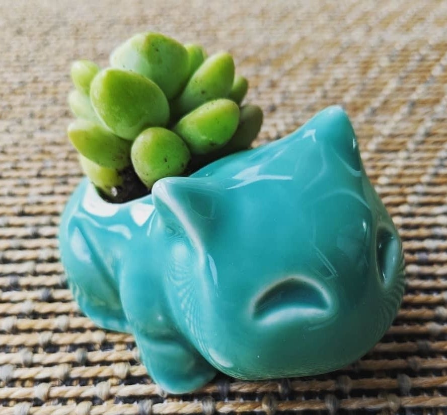 You can plant a real succulent in this lil' guy (get a pack of 5 from Amazon for $15.95) or, if you have the opposite of a green thumb, cut off the top of an artificial rose ($5 on Amazon) for a romantic and long-lasting gift.Get it from Amazon for $6.99+ (available in two colors).