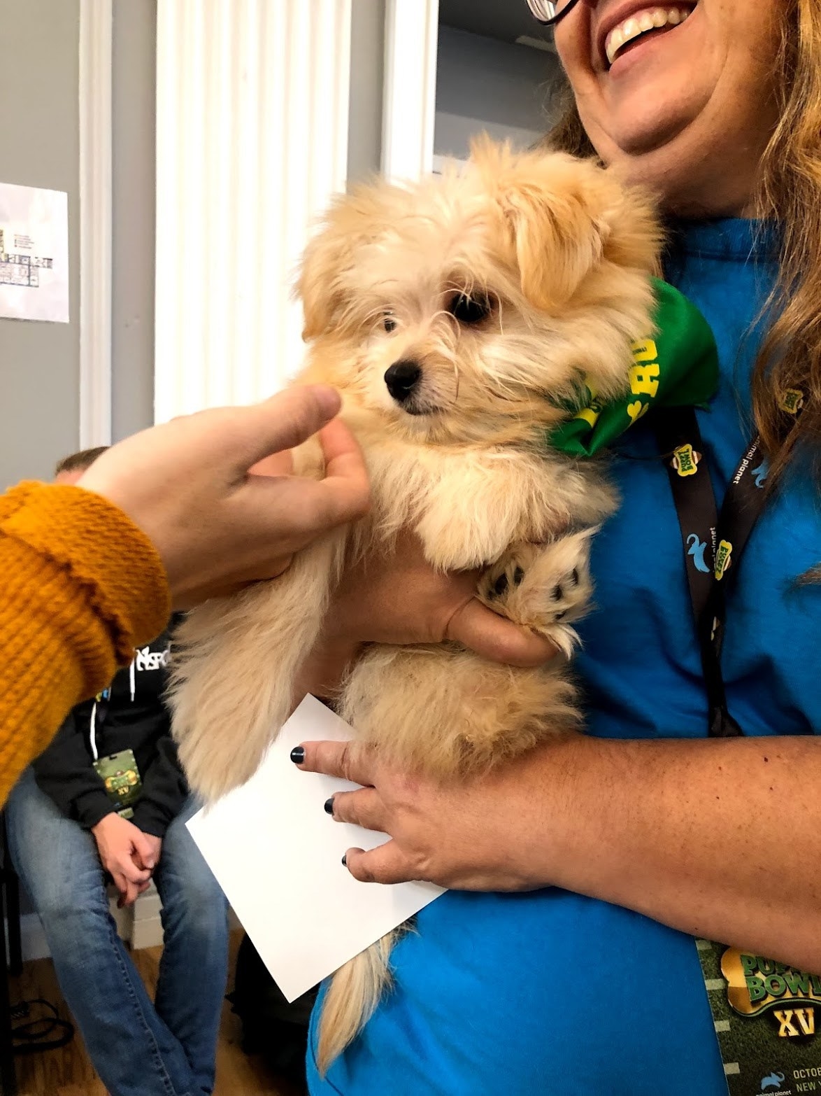 These Are All The Rescue Dogs From Puppy Bowl Xv