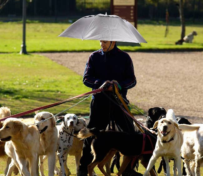 model wearing umbrella hat while walking numerous dogs