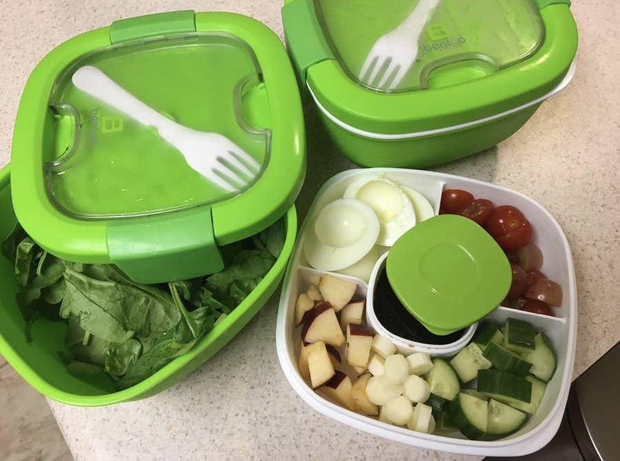 Salad Container Bento Bowl for Lunch, Lunch-Box To-Go Containers for  Adults Kids, Meal Prep Kit with Lid Fits Big Salads for Women, Teens