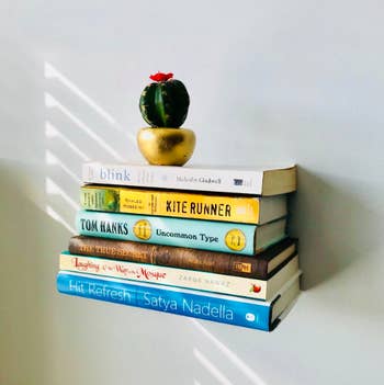Floating shelf with books and cactus 