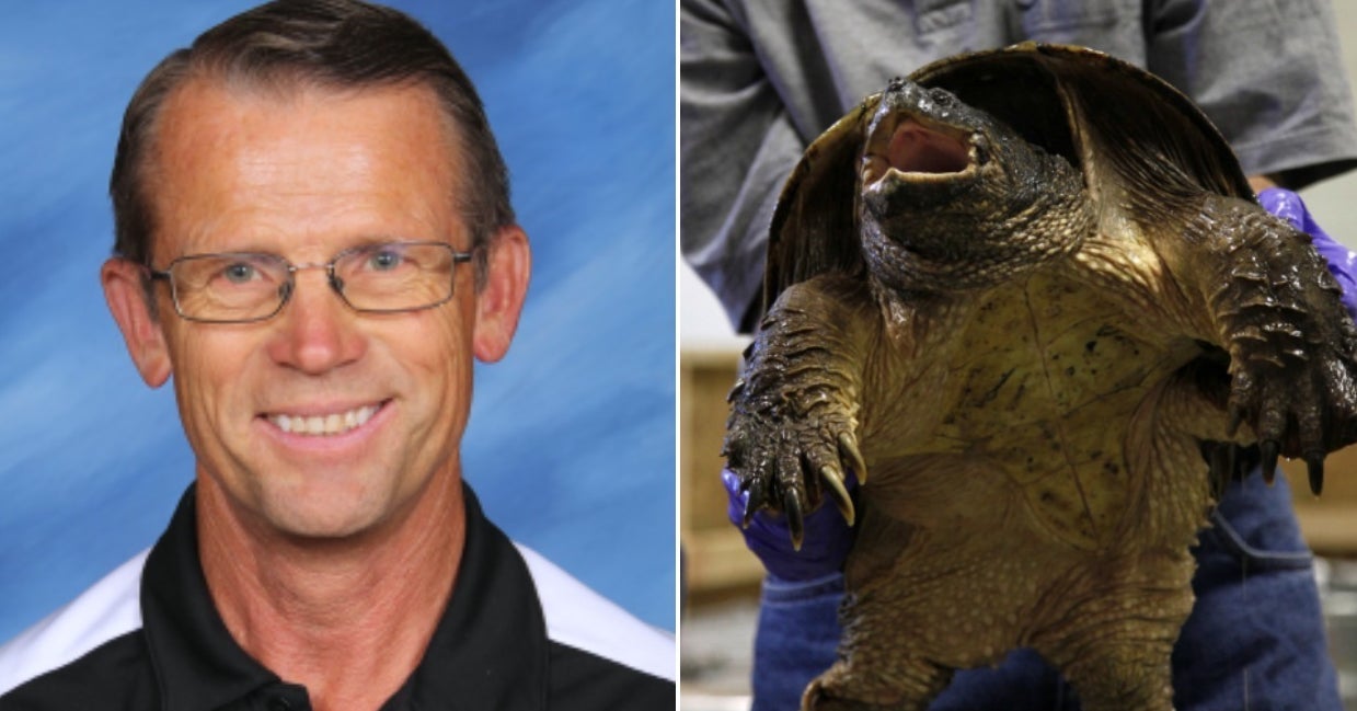Teacher Who Fed A Puppy To A Turtle In Front Of Students Was Found Not