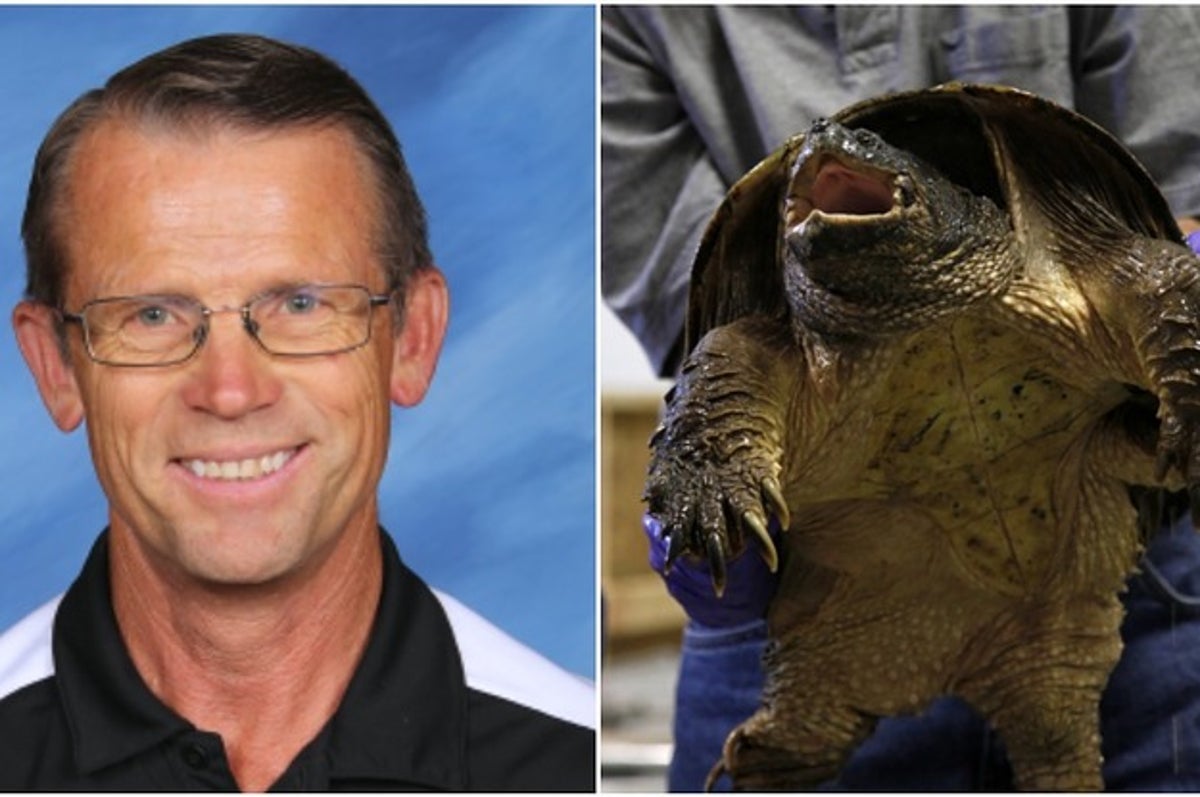 did a teacher feed a puppy to a snapping turtle