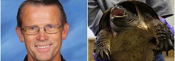 did a teacher feed a puppy to a snapping turtle