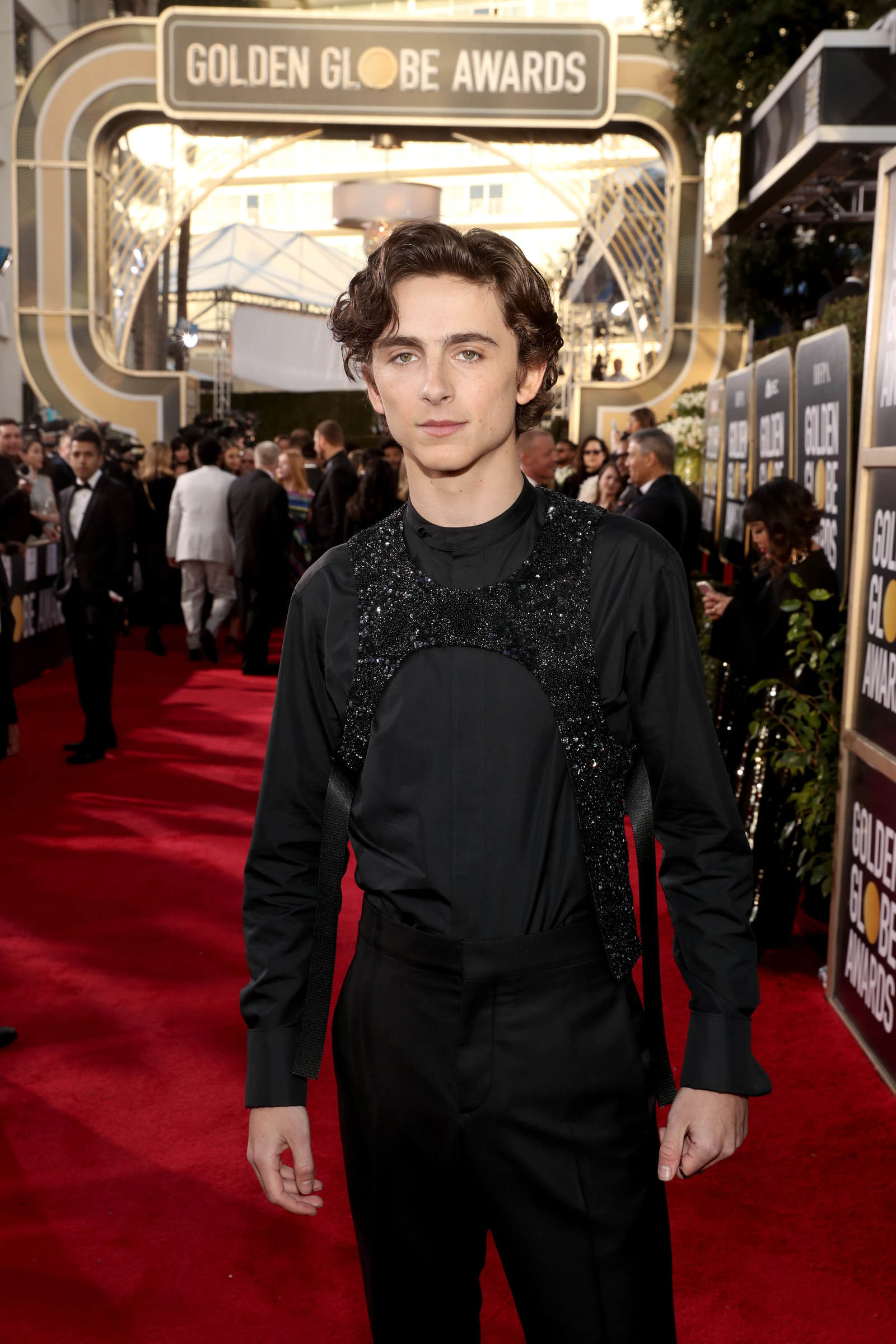 Aux Golden Globes 2019, Timothée Chalamet et son harnais ont fait mouche