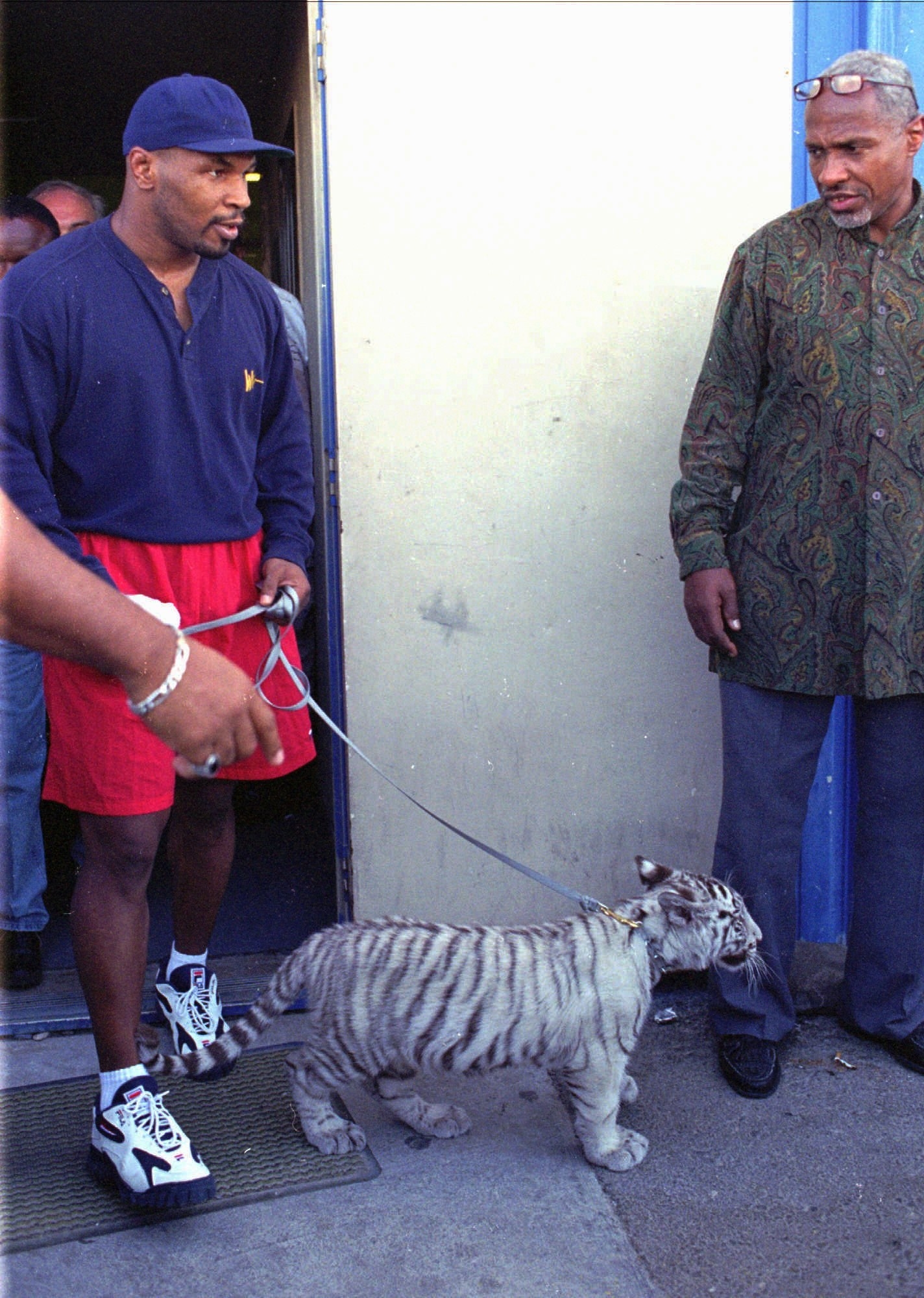 Celebs weird pets