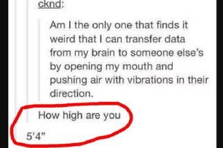 42 Tumblr Text Posts That Will Make You Laugh No Matter What