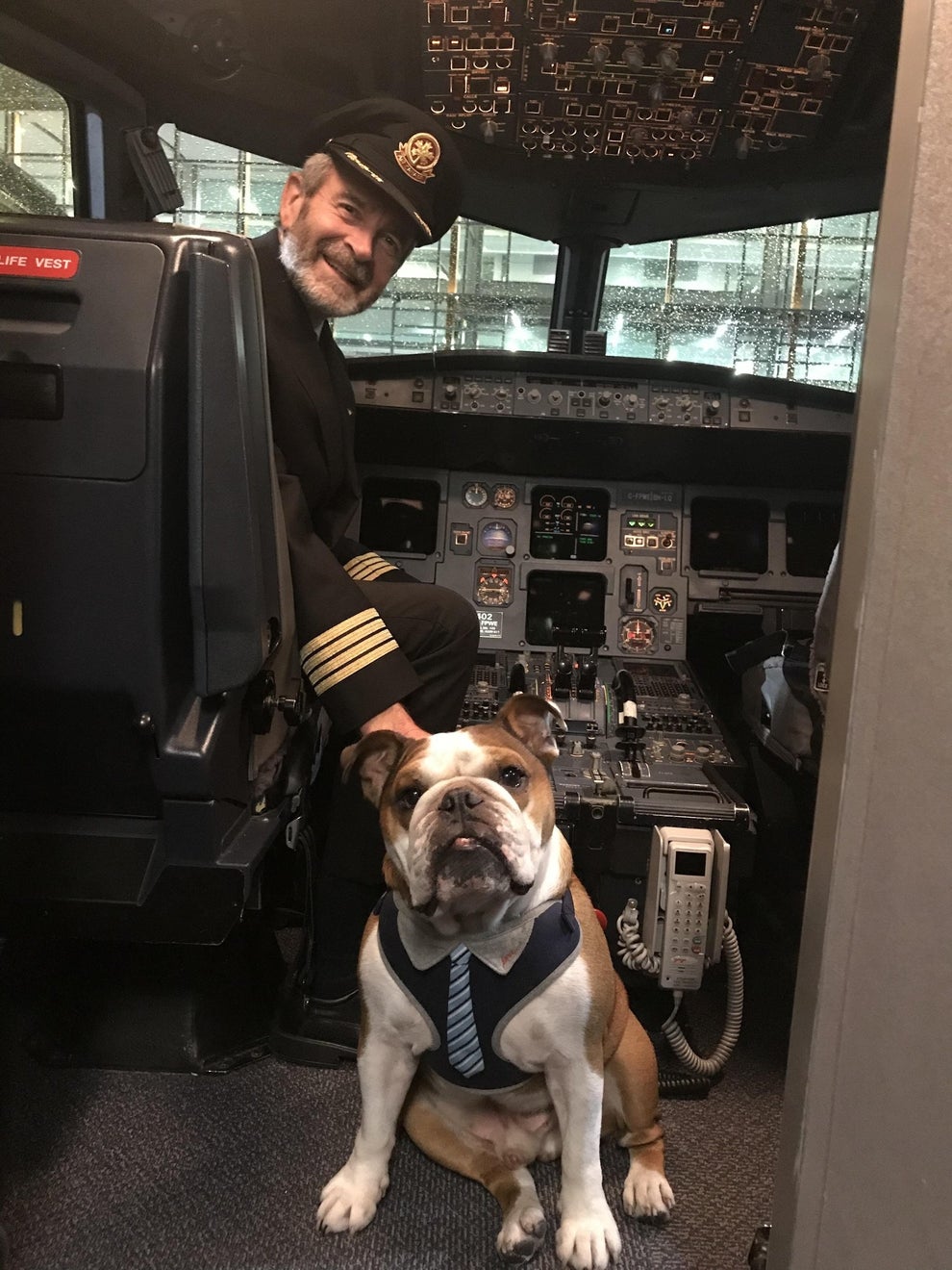 22 Reasons Dogs Should Never Be Allowed On Airplanes