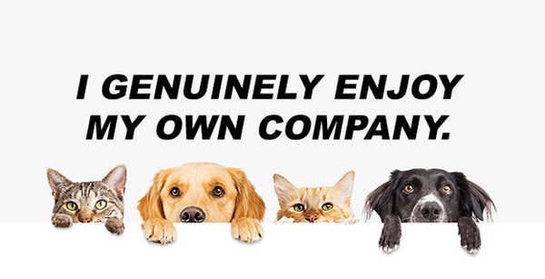 Are You A Cat Or A Dog