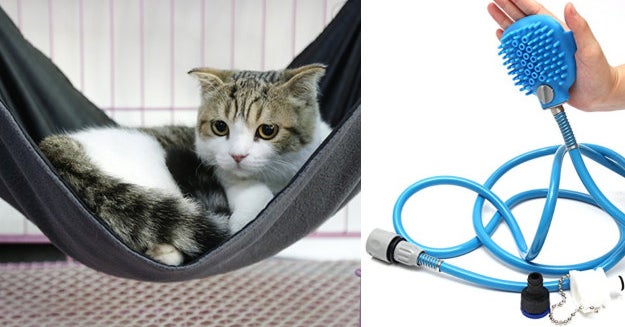 11 Things You Need If You Have A Cat Or A Cat Person In Your Life