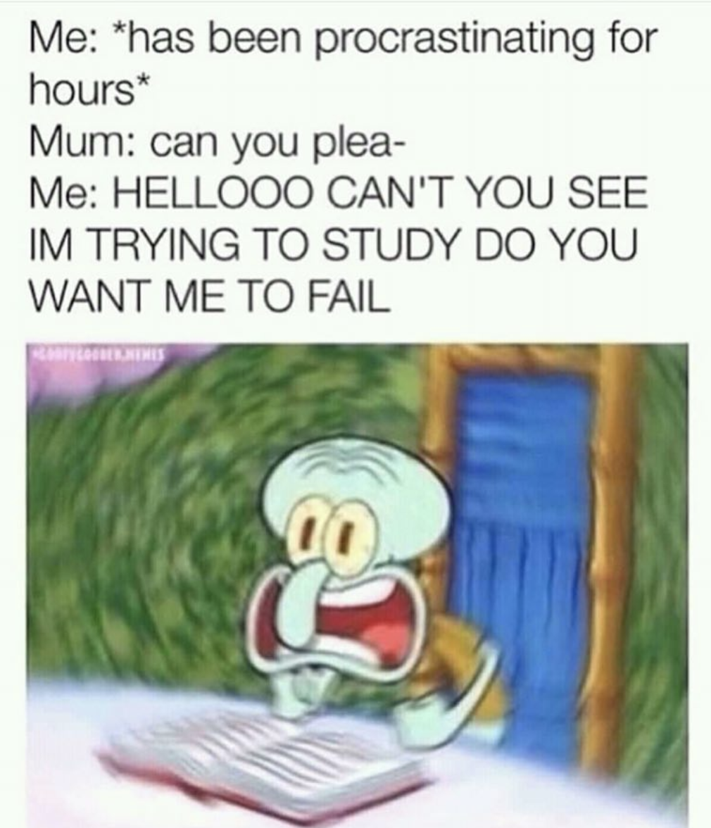 essay procrastination memes