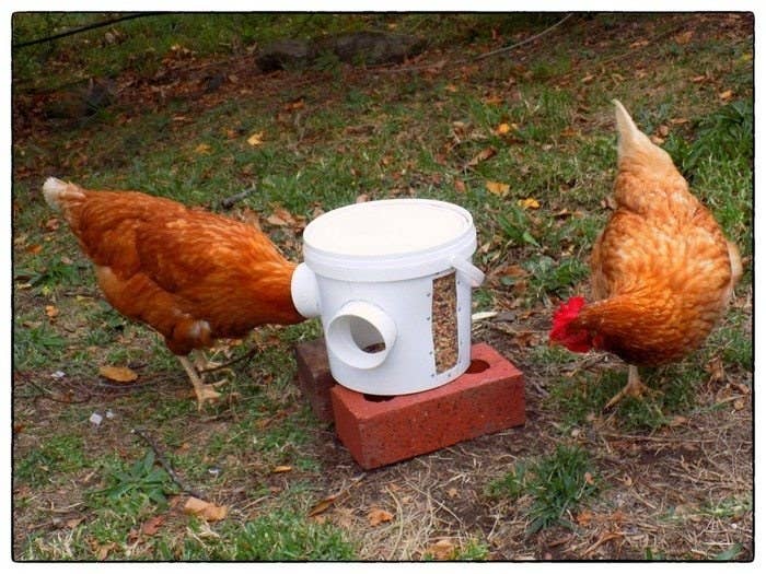 28 Cheap And Clever Diys For People Who Raise Chickens