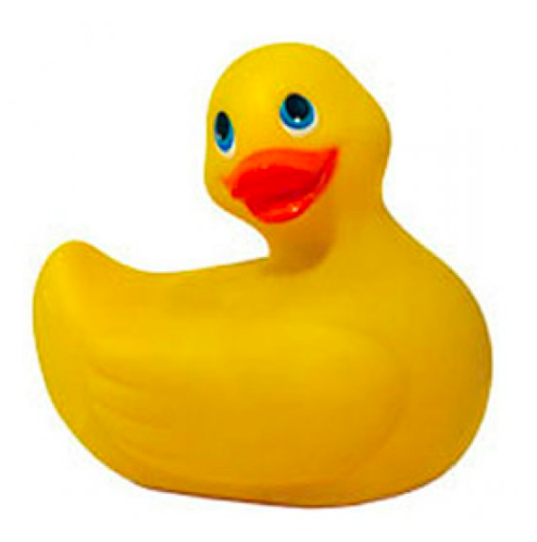 the toy, which just looks like a regular rubber duck